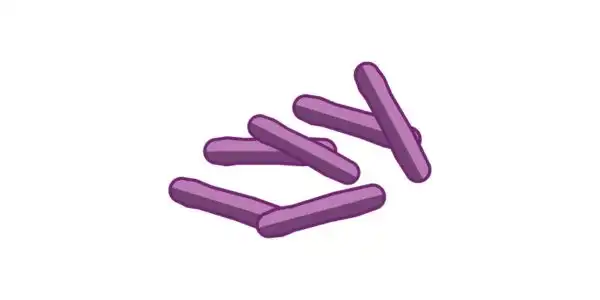 Thermophilic Thermophilic