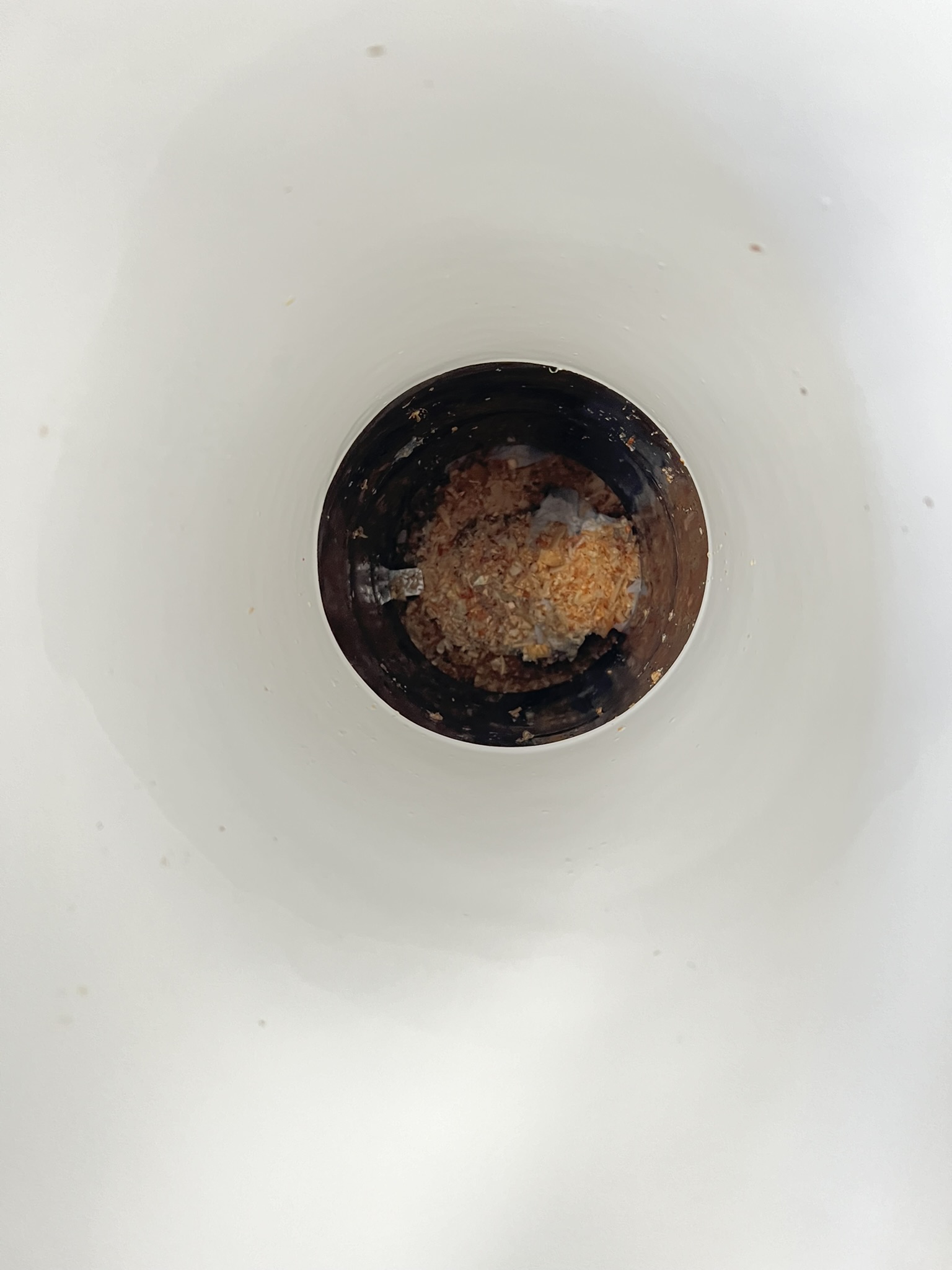 nature-loo-alectura-in-use Peering into the freshly used Nature Loo Alectura Porcelain Pandora Pedestal