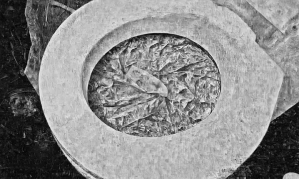 blog-dry-flush-rv-toilet