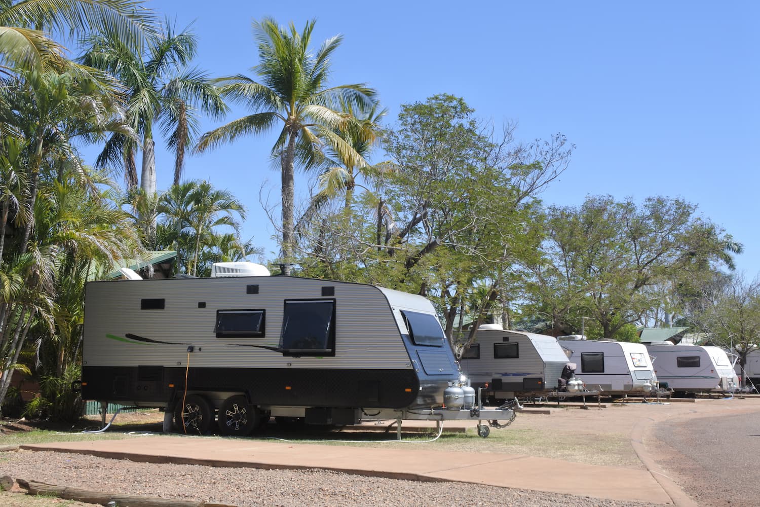 LJM alectura 11 600p
